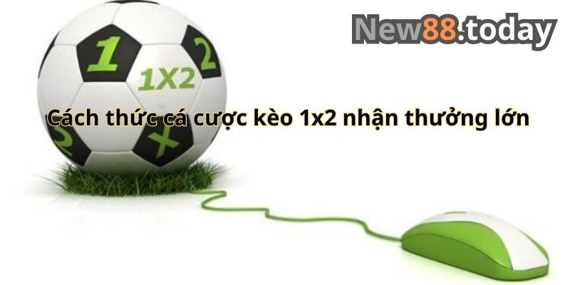 Cách thức cá cược 1x2 nhận thưởng lớn Cách thức cá cược 1x2 nhận thưởng lớn